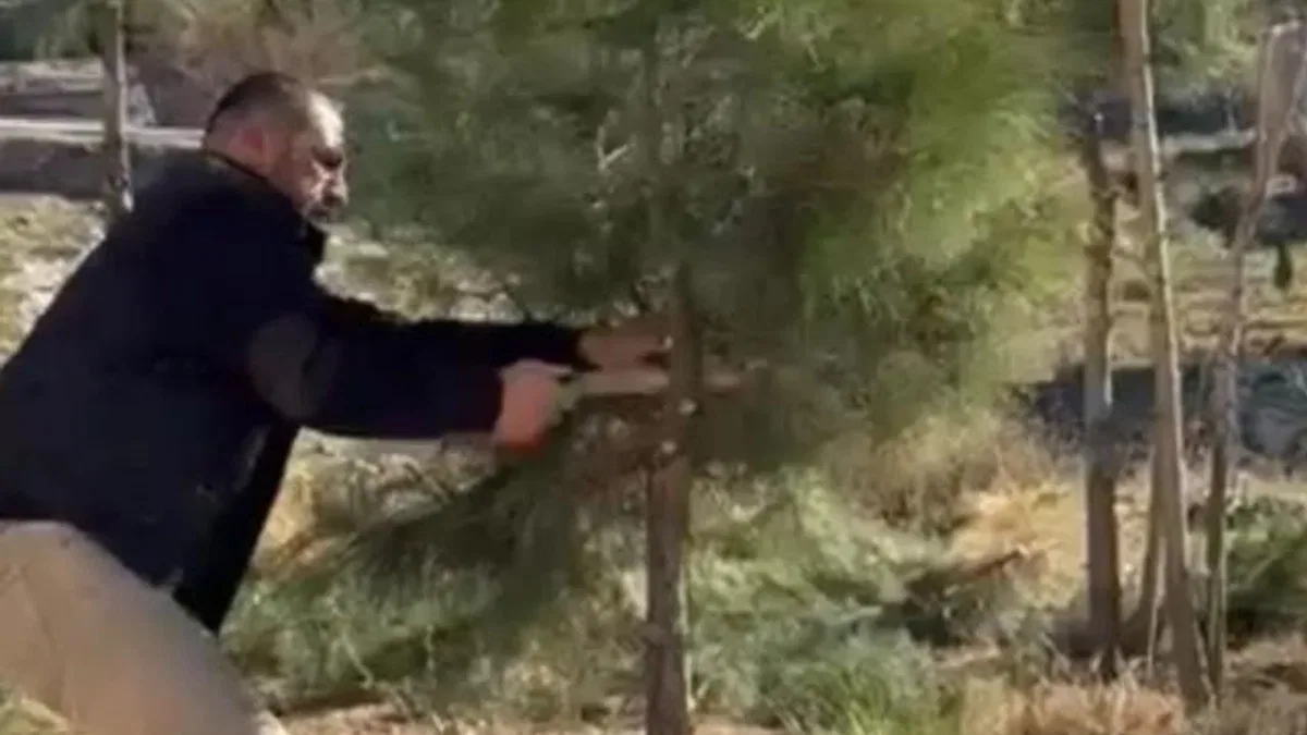 Mardin Artuklu’da muhtar kendi elleriyle ağaçları budadı
