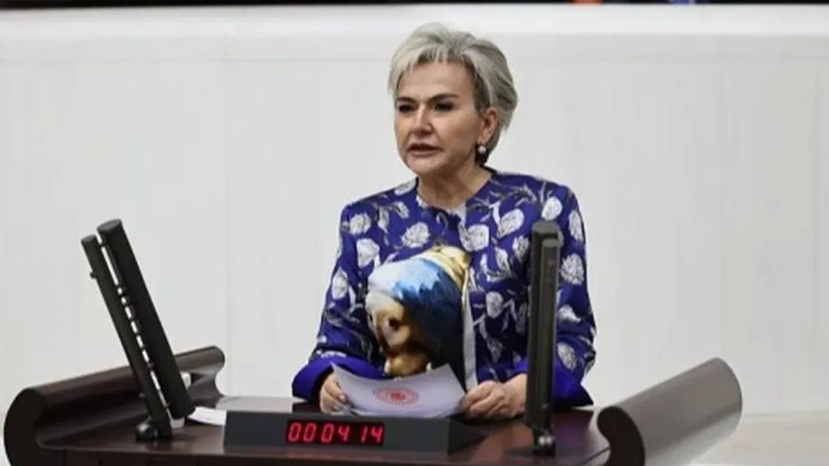 CHP’li Milletvekili Özdemir’den yeni kanun teklifi