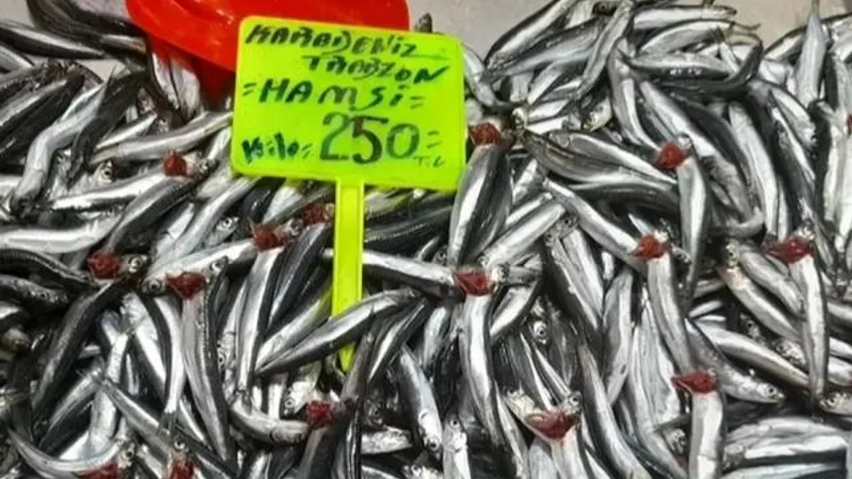 Bursa’da balık fiyatları düşmüyor