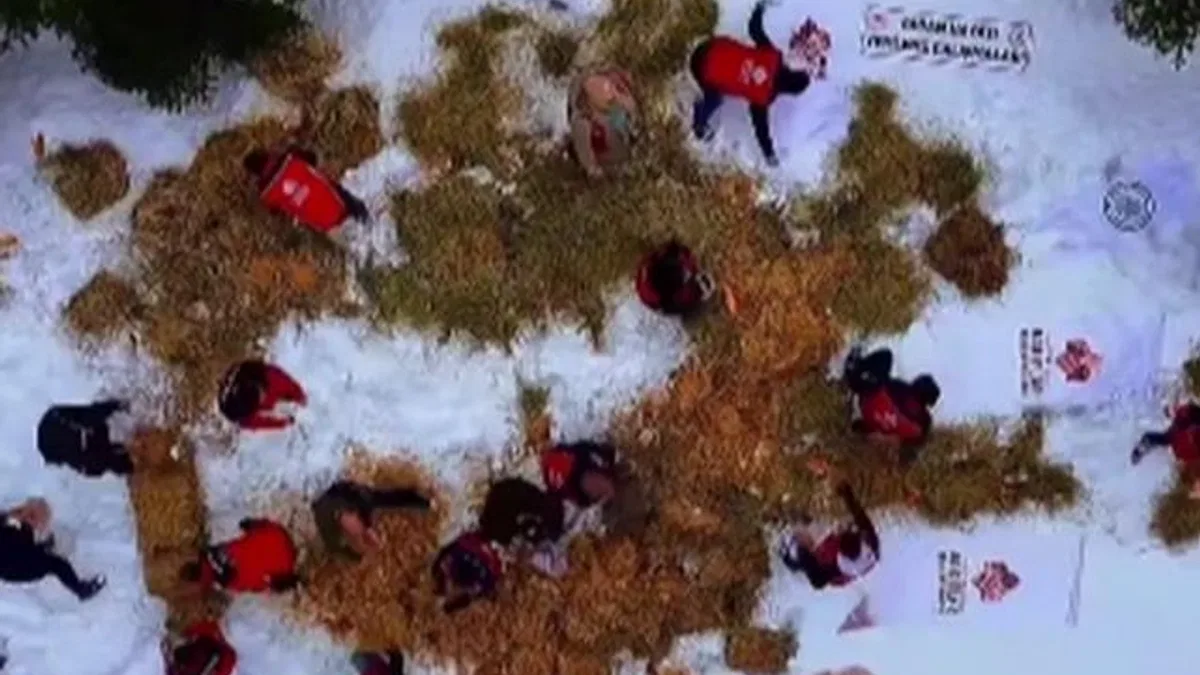 Ilgaz Dağı’na yüzlerce kilo yem bırakıldı