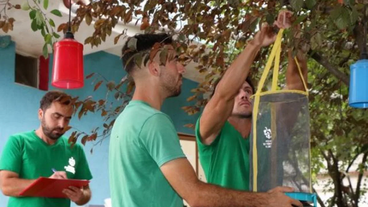 Kocaeli’de karasinek kapanları yaygınlaşıyor