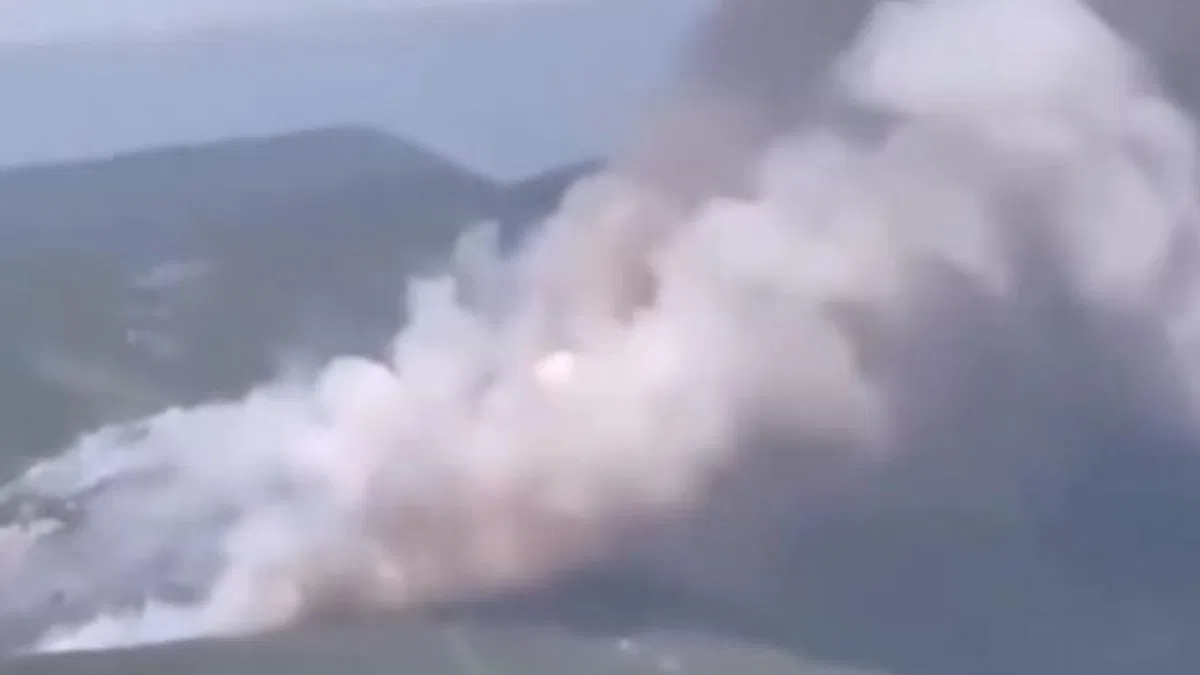Bursa’da orman yangını!