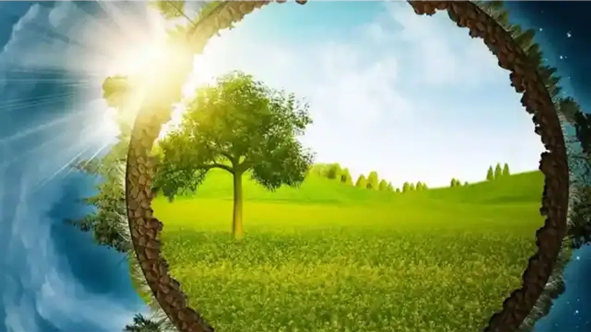 ÇED Yeterlik Belgesi tebliği değişti… Başvuru şartları ve belgeler yeniden düzenlendi