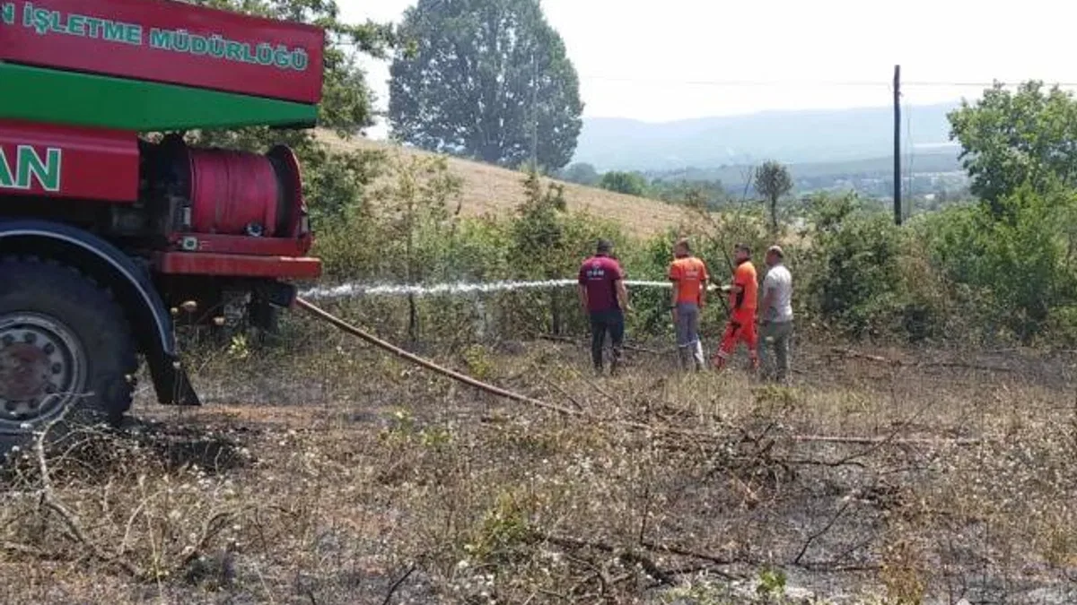 Bilecik’te arazi yangını! 1 kişi dumandan etkilendi