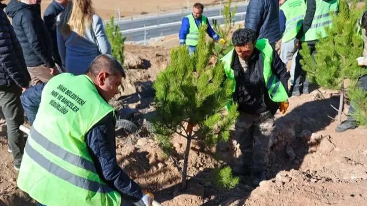 Sivas’ta mevsimlik işçiler adına hatıra ormanı