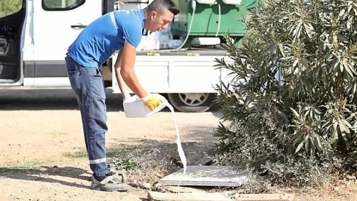 Didim’de ilaçlama çalışmaları aralıksız devam ediyor.