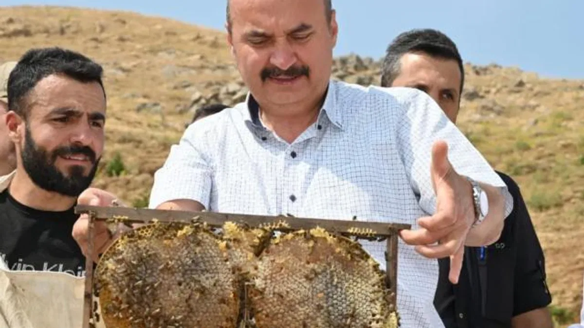 Batman Sason’da bal hasadı coşkusu