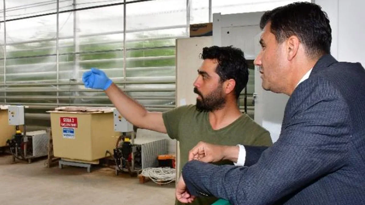 Manisa’da jeotermal seraya can suyu