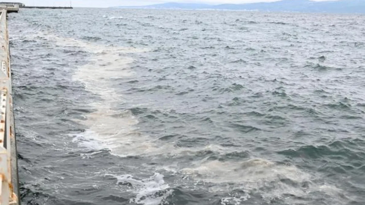 Marmara’daki müsilaj tehdidi Gemlik Körfezi’nden incelendi