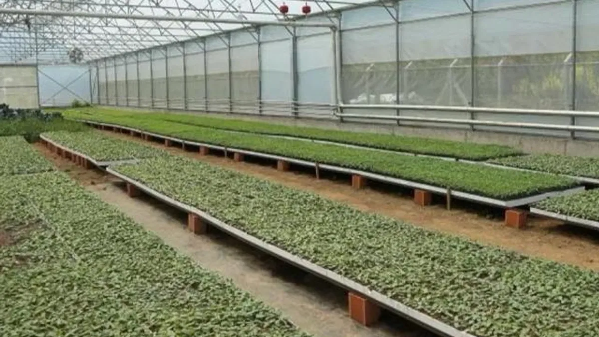 Ordu’da 4,5 milyon fideyle üretim seferberliği