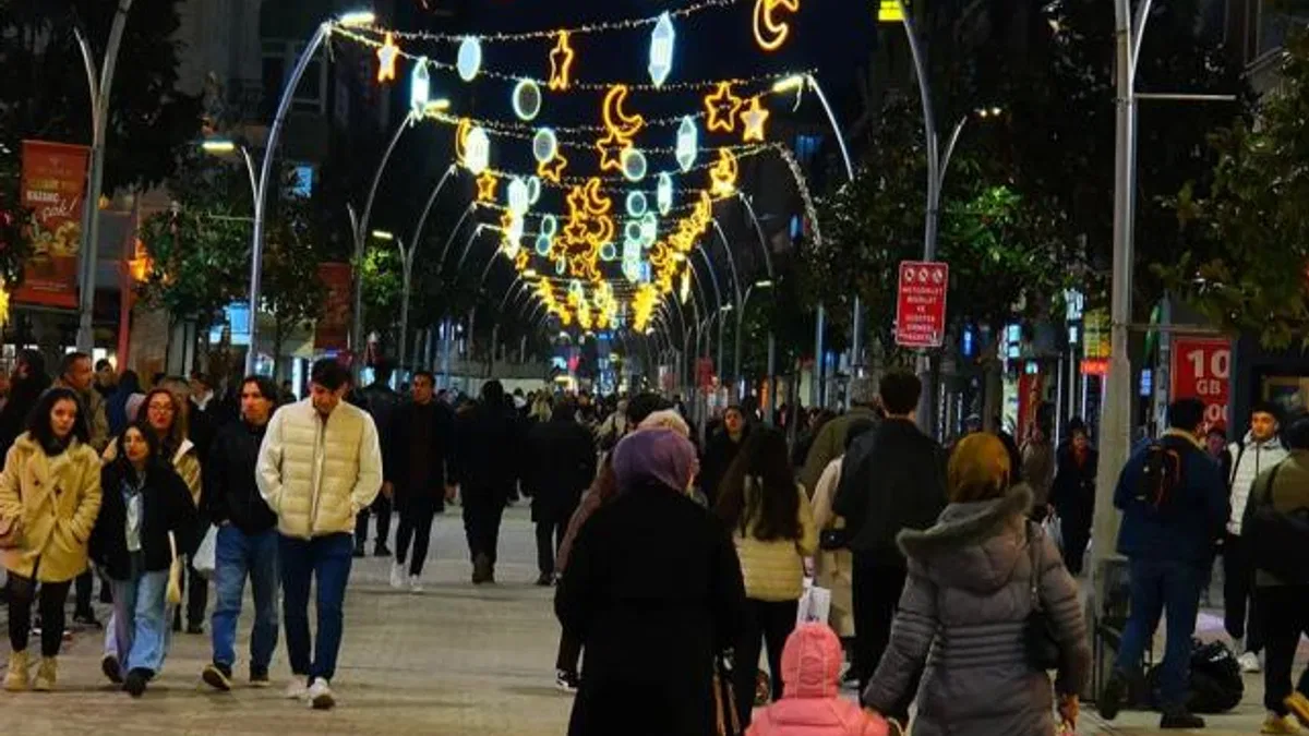 Sakarya’da Çark Caddesi süslendi