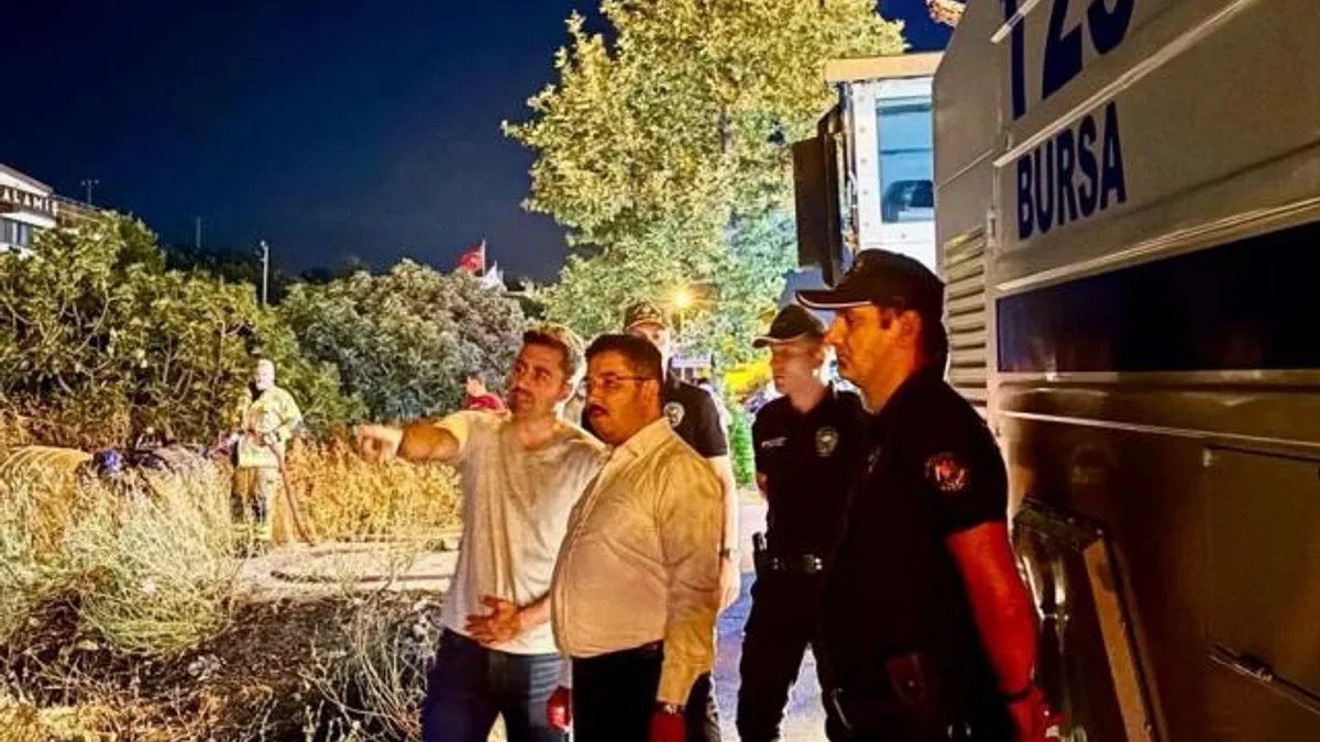 Mudanya Yolu’ndaki yangın kontrol altına alındı! 4 dönüm alan zarar gördü!