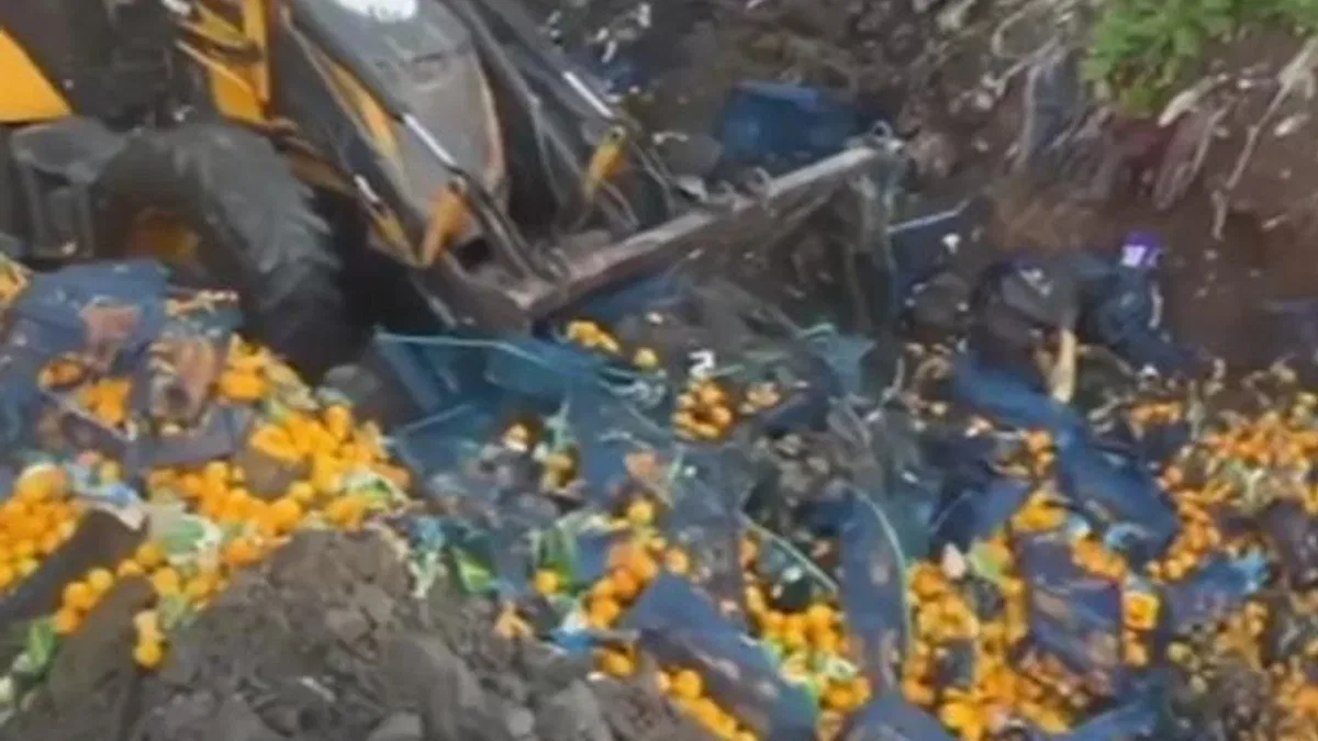 Artvin Sarp Sınır Kapısı’nda 6,1 ton mandalina imha edildi!