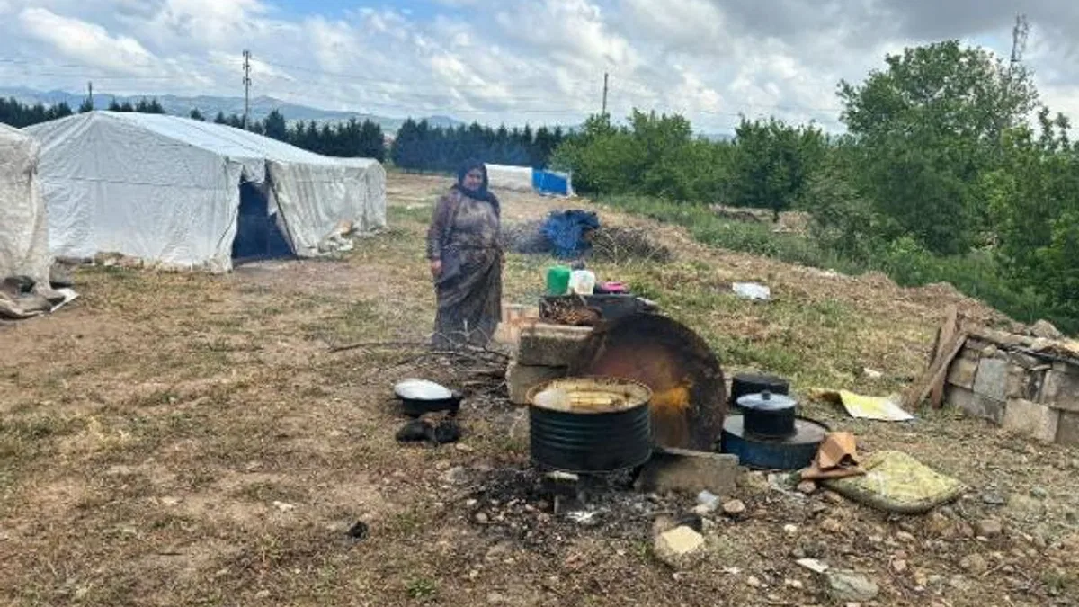 Mevsimlik tarım işçileri sosyal güvence yoksunu