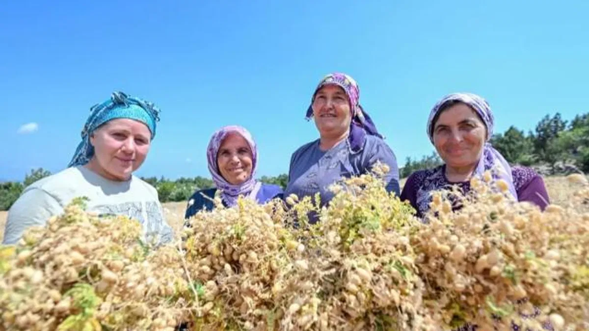 Atalık tohumlar geleceğe taşınıyor