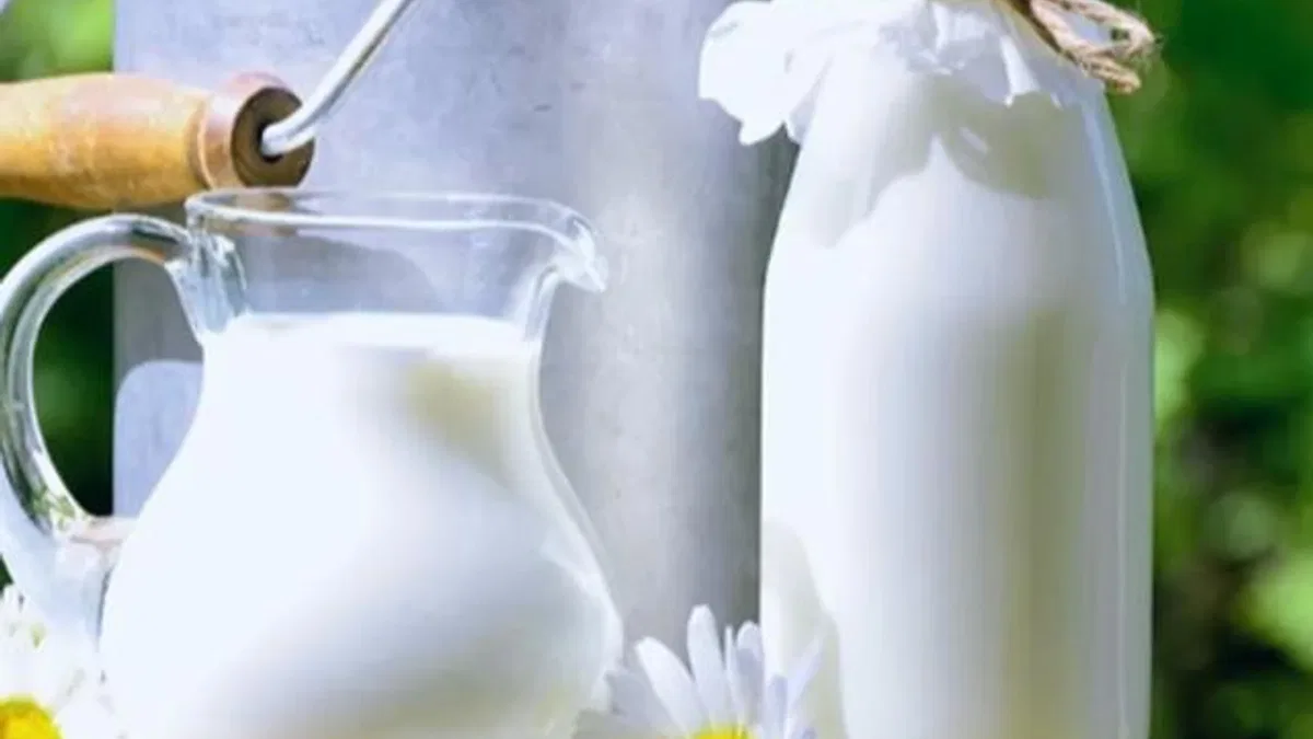Çiğ süt primi litre başına 1 TL olacak