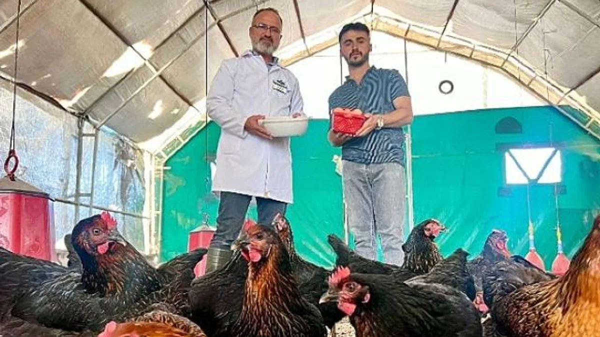 Büyükşehir destekliyor, çiftçinin yüzü gülüyor