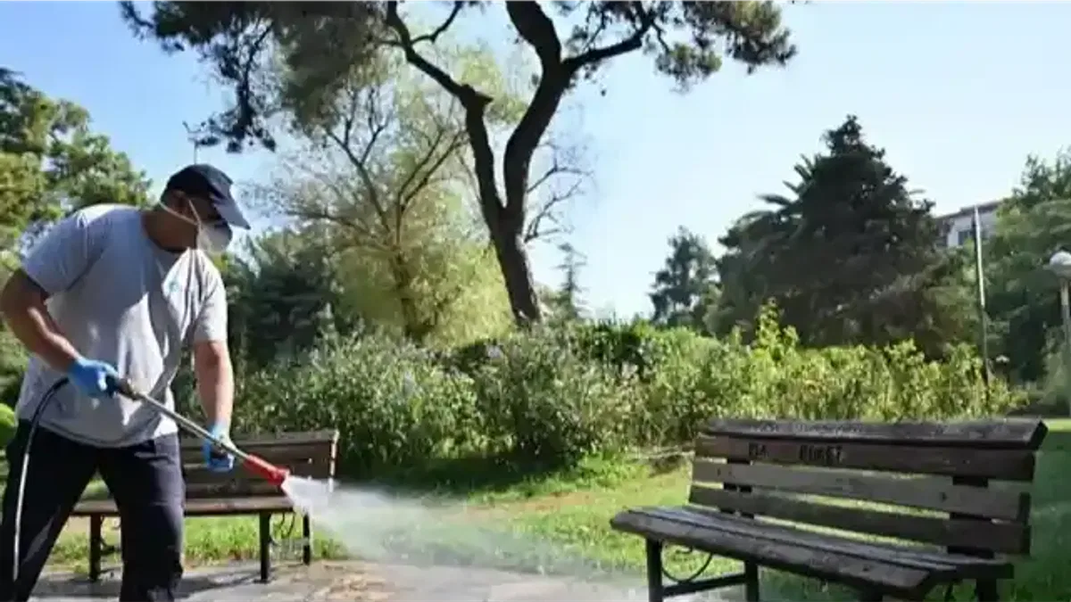 Manisa Büyükşehir zararlılarla mücadelede hız kesmiyor