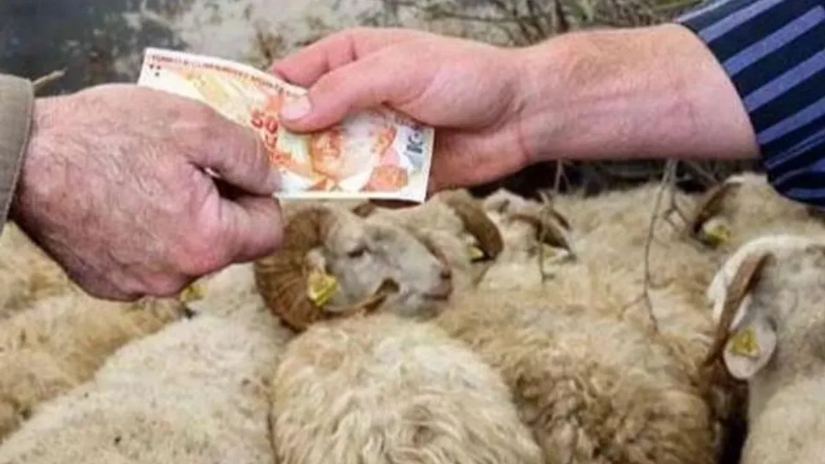 2026 Yılı Kurban Hizmetleri Tebliği ‘Resmi’leşti