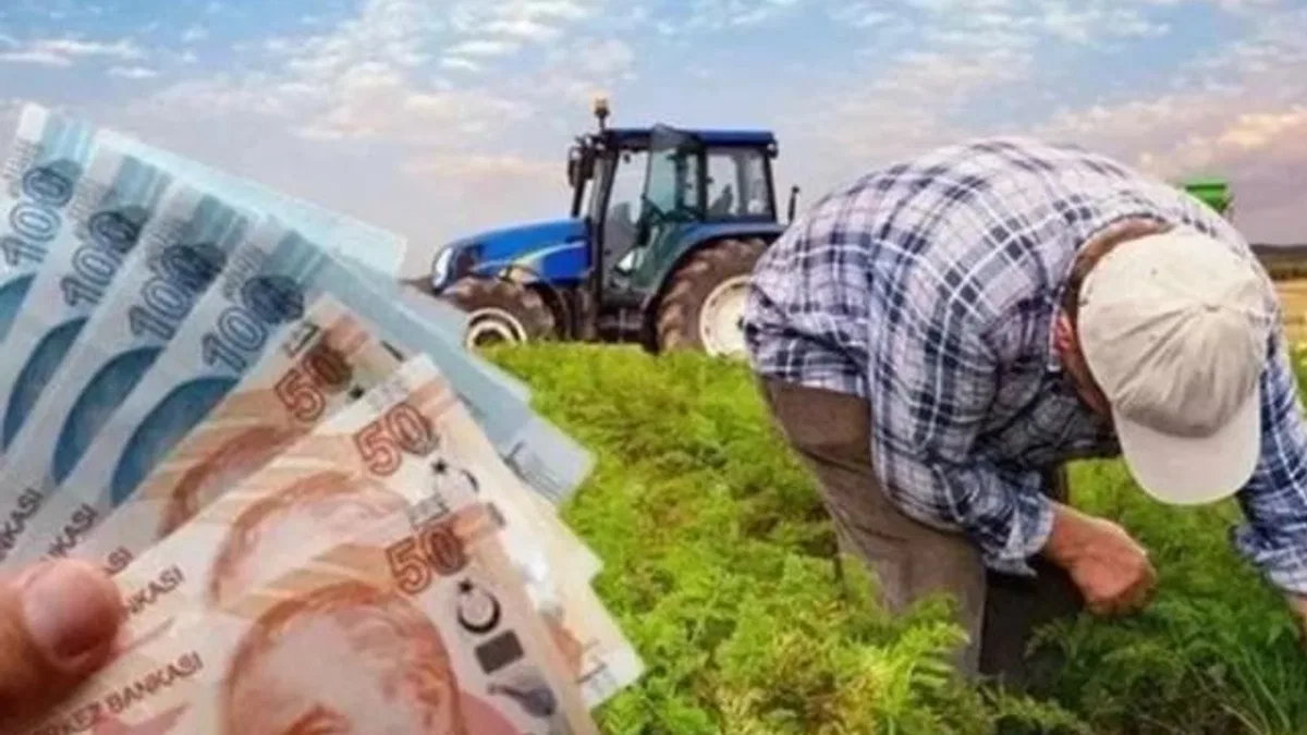 Çiftçilere 865 milyon TL’lik destek ödemesi hesaplarda