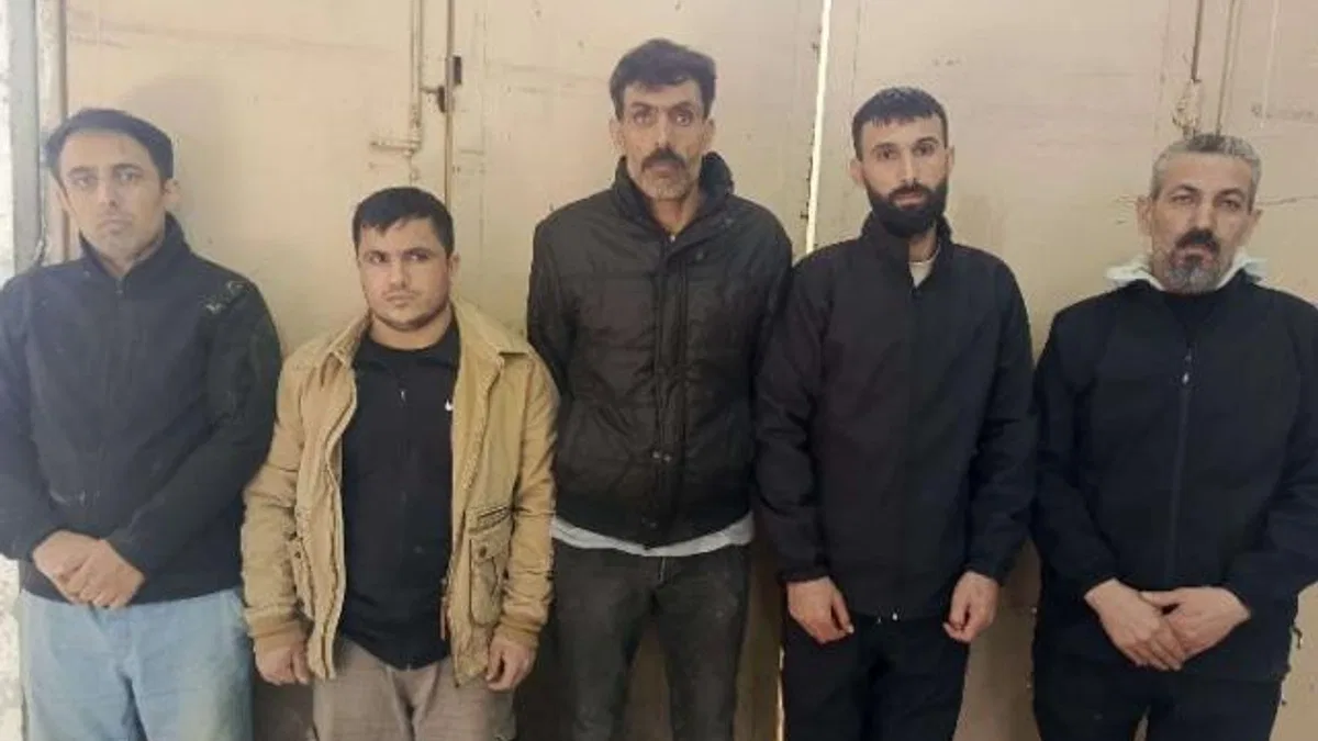 5 kaçak göçmen yakalandı