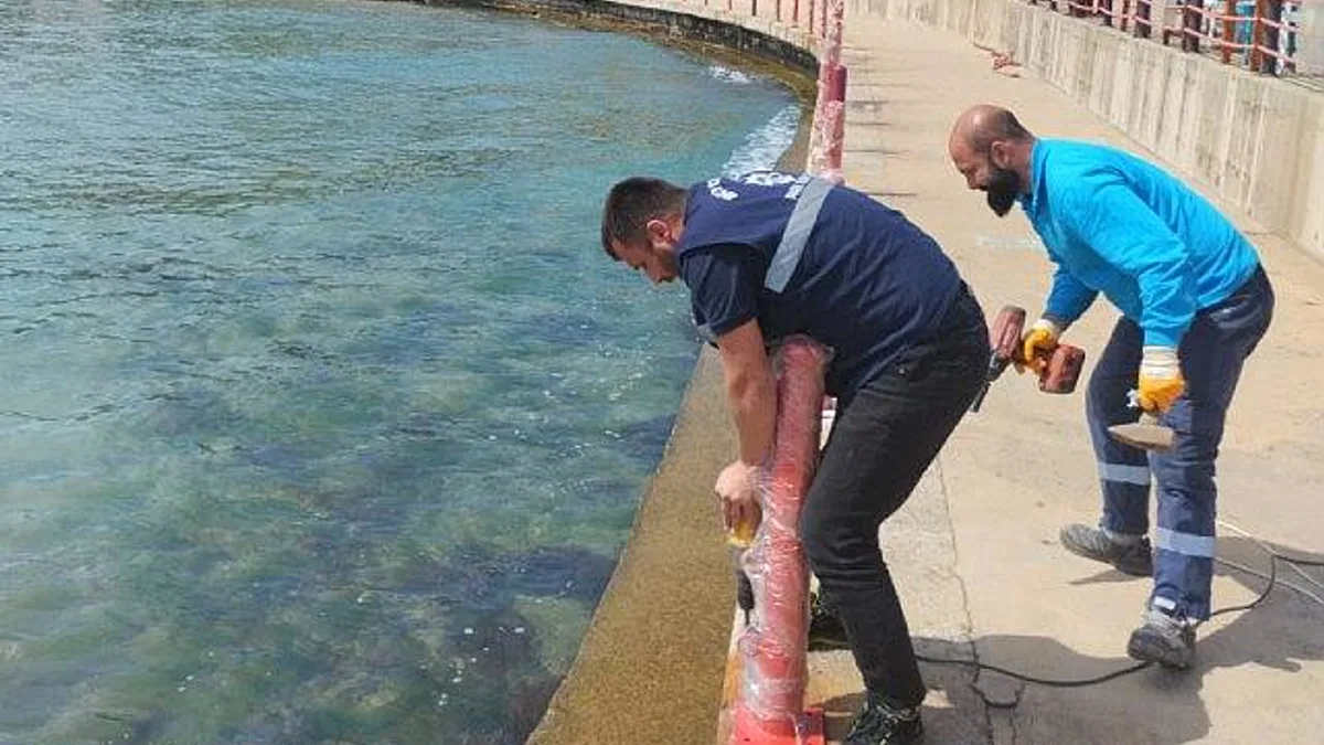 Kocaelilileri bu yaz pırıl pırıl sahiller bekliyor