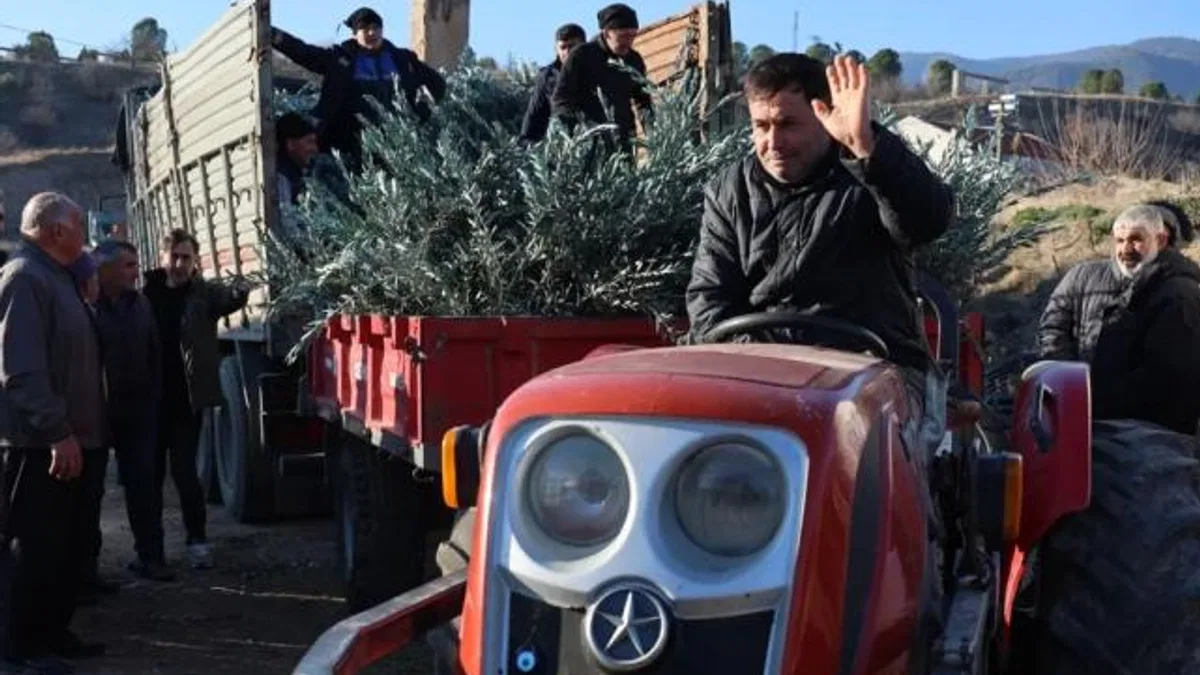 Eskişehir’de zeytincilik yaygınlaştırılacak… 17 bin Gemlik zeytin fidanı dağıtıldı