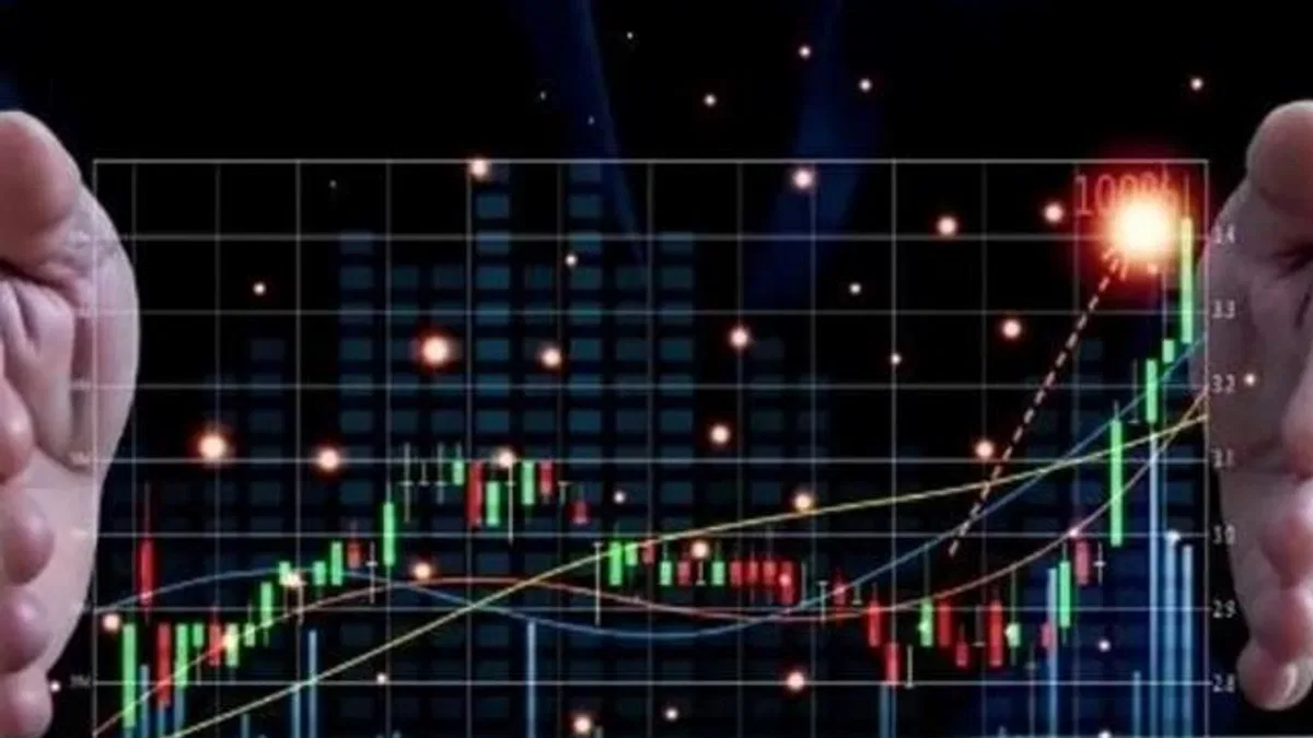 2023’te 20 bin 110 mali aracı kuruluş faaliyette bulundu