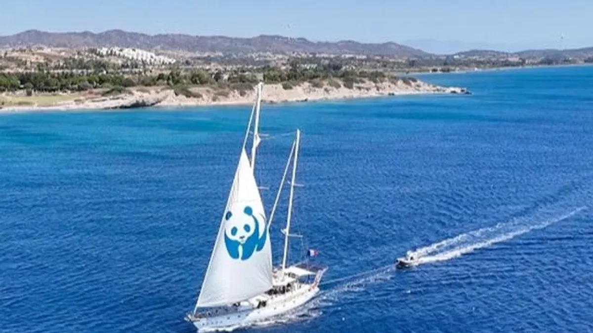‘Blue Panda’ Mavi Ormanlar için Türkiye’de