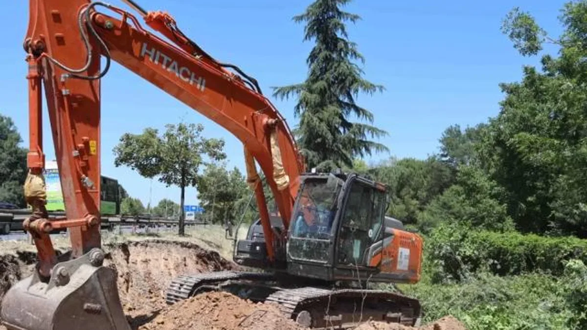 Kocaeli’de sökülen ağaçlar geleceğe taşınıyor