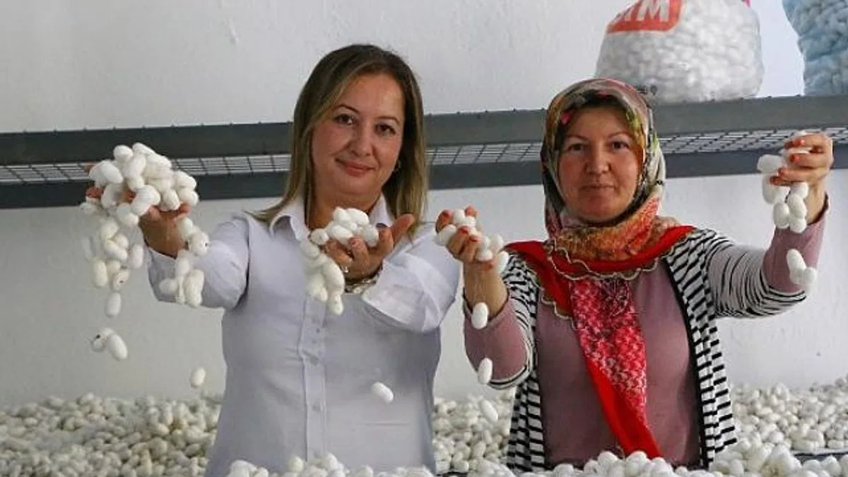 Sapadere İpek Evi’nde eğitim kursları başladı