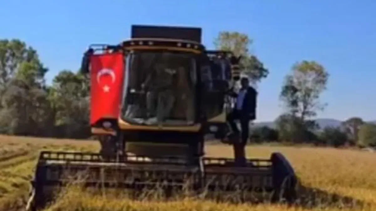 İstanbul’da yeni üretim sezonu için tohum ve fideler hazır