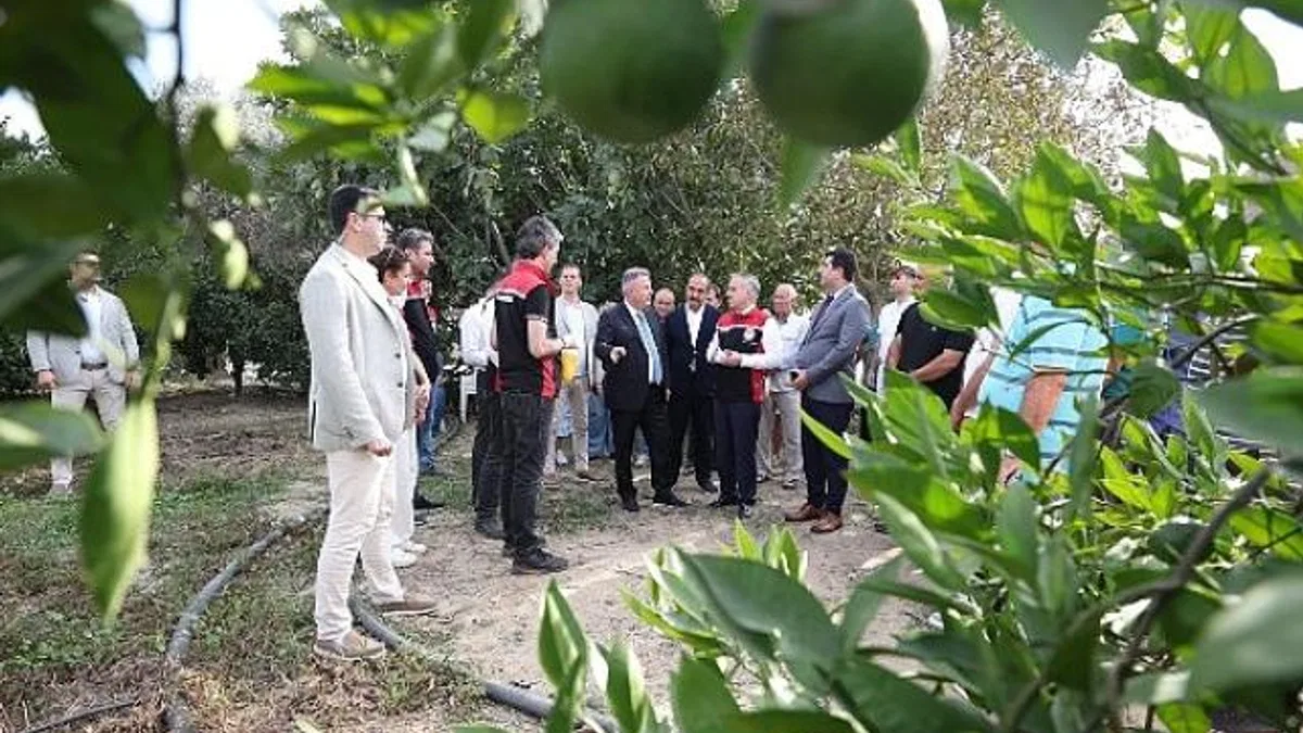 “Akdeniz Meyve Sineği İle Mücadelede Biyoteknik Yöntemlerin Yaygınlaştırılması Projesi”