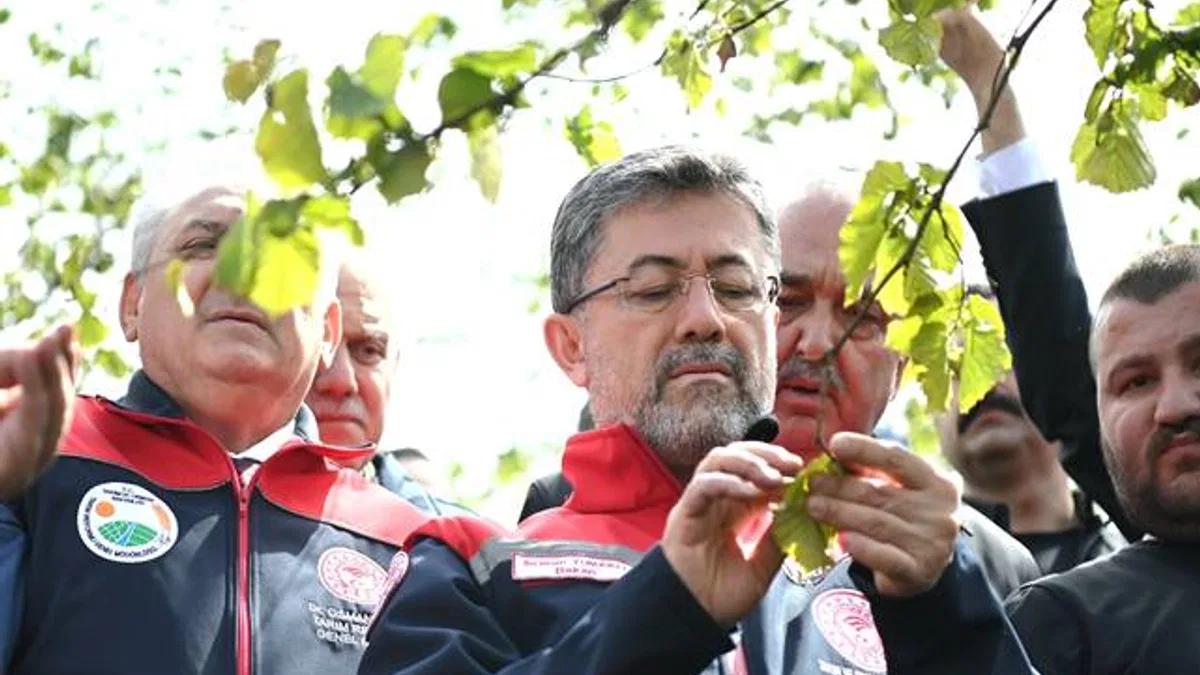 Tarihin en büyük don felaketi