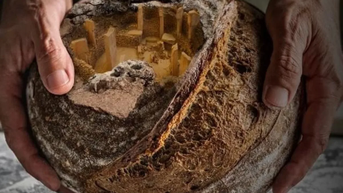 Göbeklitepe ekmeği Sorgül buğdayı ile hazırlanıyor