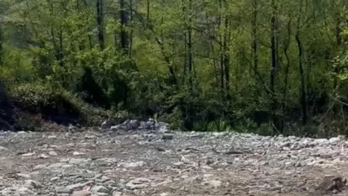 Rize’de vahşi depolamaya milyonluk ceza! Çevre’den suç duyurusu