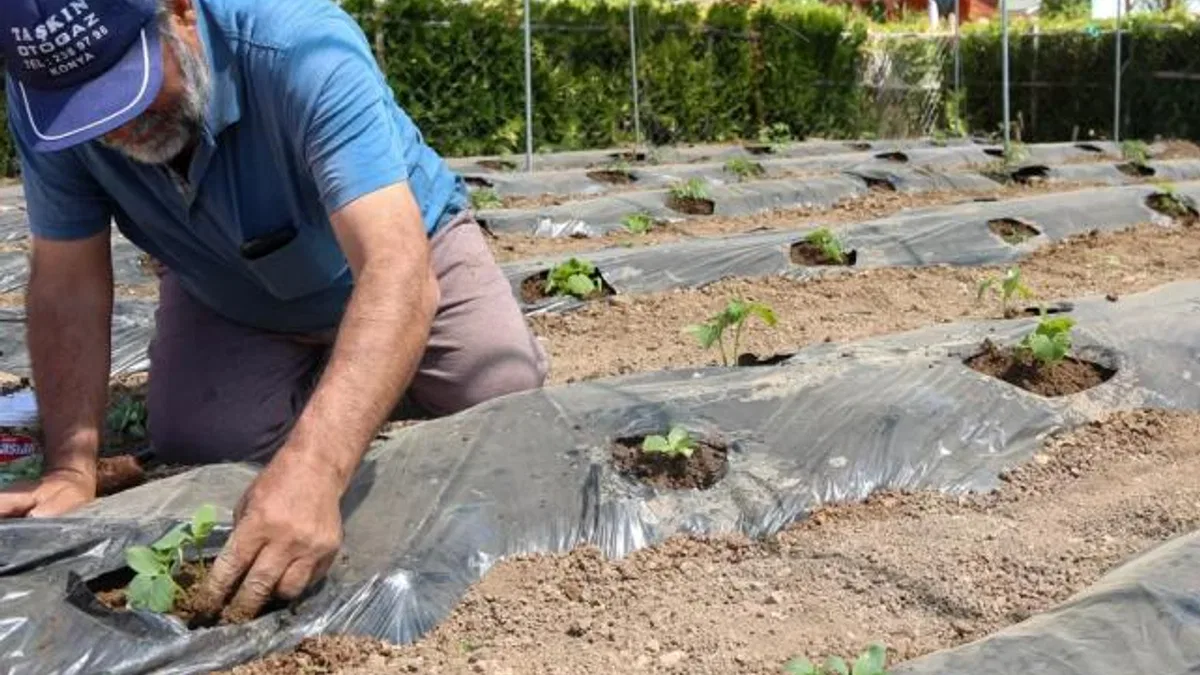 Konya’da başvurular 15 Ocak’ta başlıyor