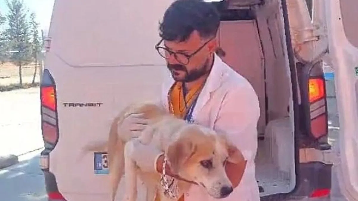 Didim’de Kuyuya Düşen Köpek Belediye Ekiplerince Kurtarıldı