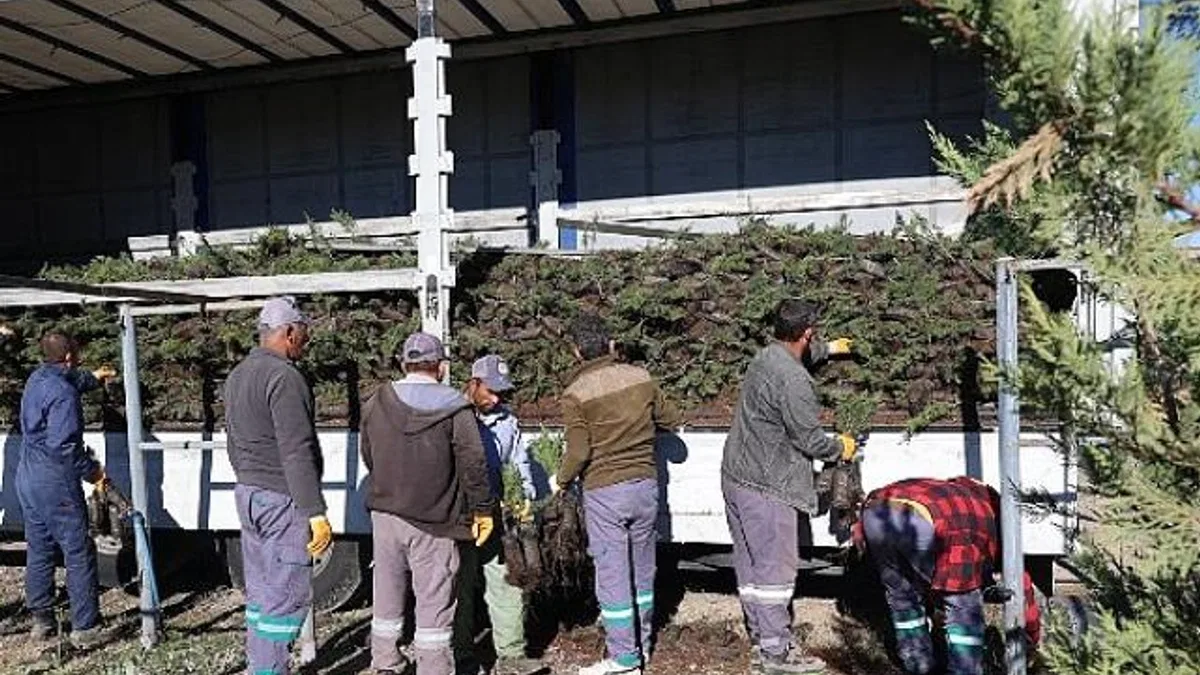 Nevşehir tarihinin en büyük ağaçlandırma seferberliği başlıyor.