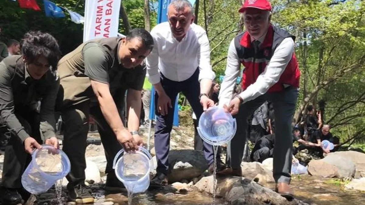 Kocaeli Kirazdere’ye 2 yılda 16 bin alabalık salındı