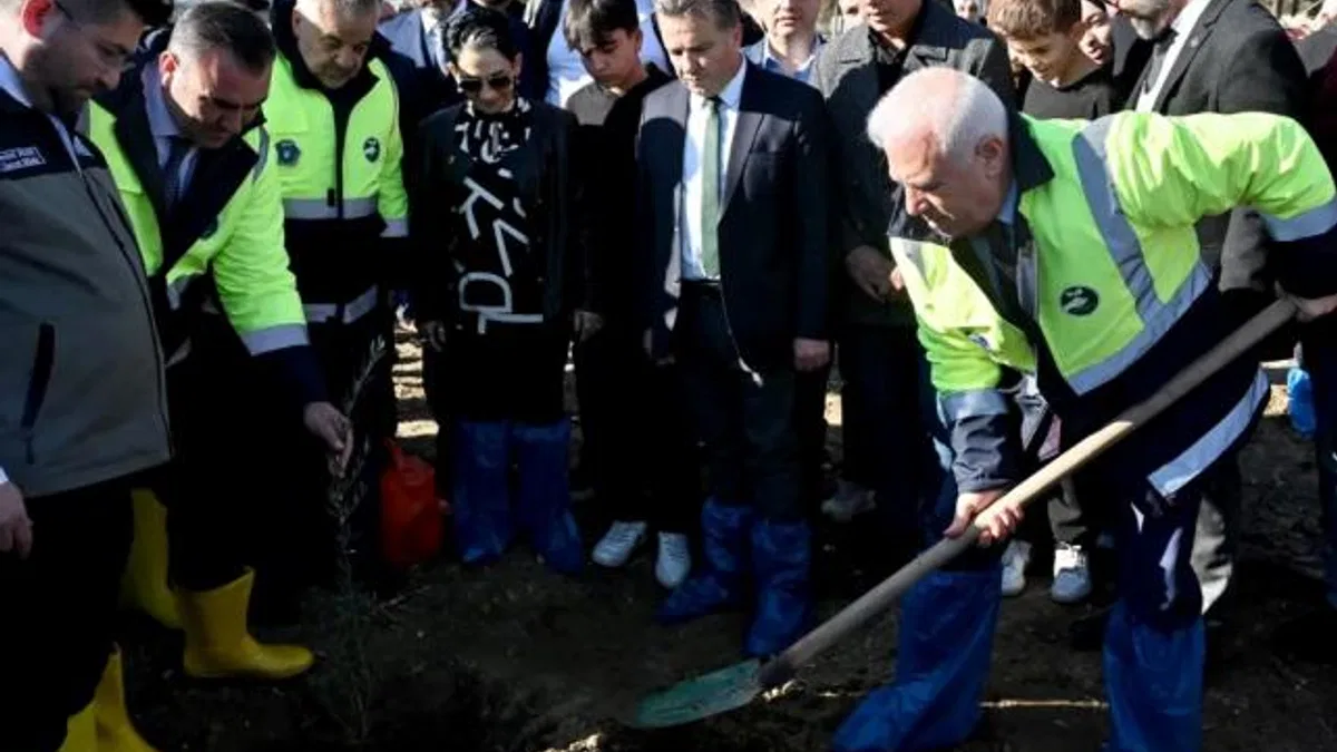Bursa’da zeytin fidanları toprakla buluştu