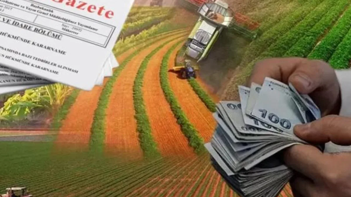 Hazine destekli kredilerde yeni dönem… Çiftçi ve esnafa kredi şartları yenilendi