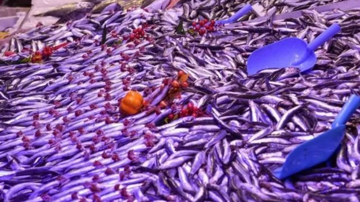 Eskişehir’de balık satış yerlerine ortak denetim