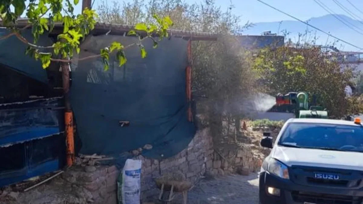 Manisa Büyükşehir’den ‘Mavi Dil’ hastalığına karşı mücadele