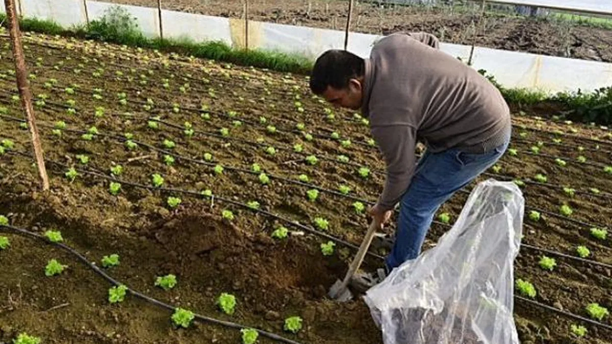 Hümik Asit Uygulamasıyla Verimli Topraklar, Sağlıklı Ürünler