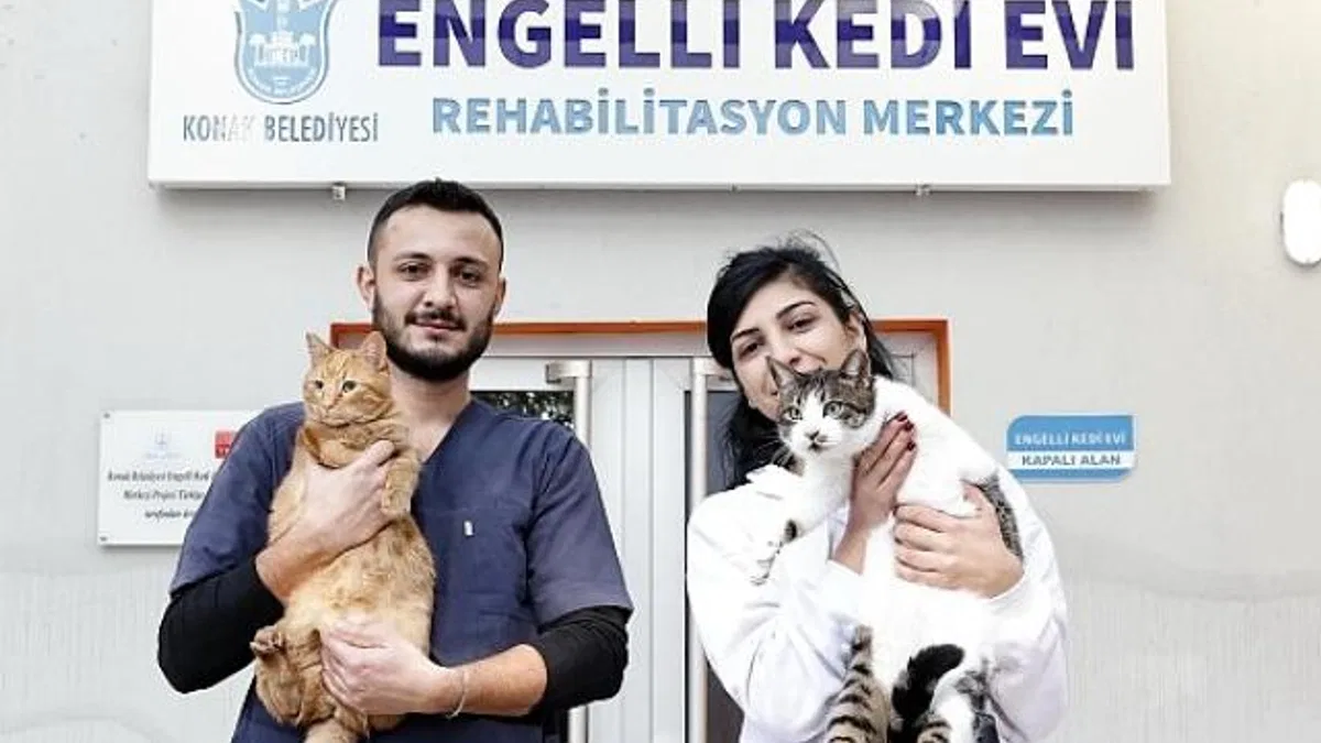 Konak’ın engelleri aşan Kedi Evi’nden sahiplenme çağrısı