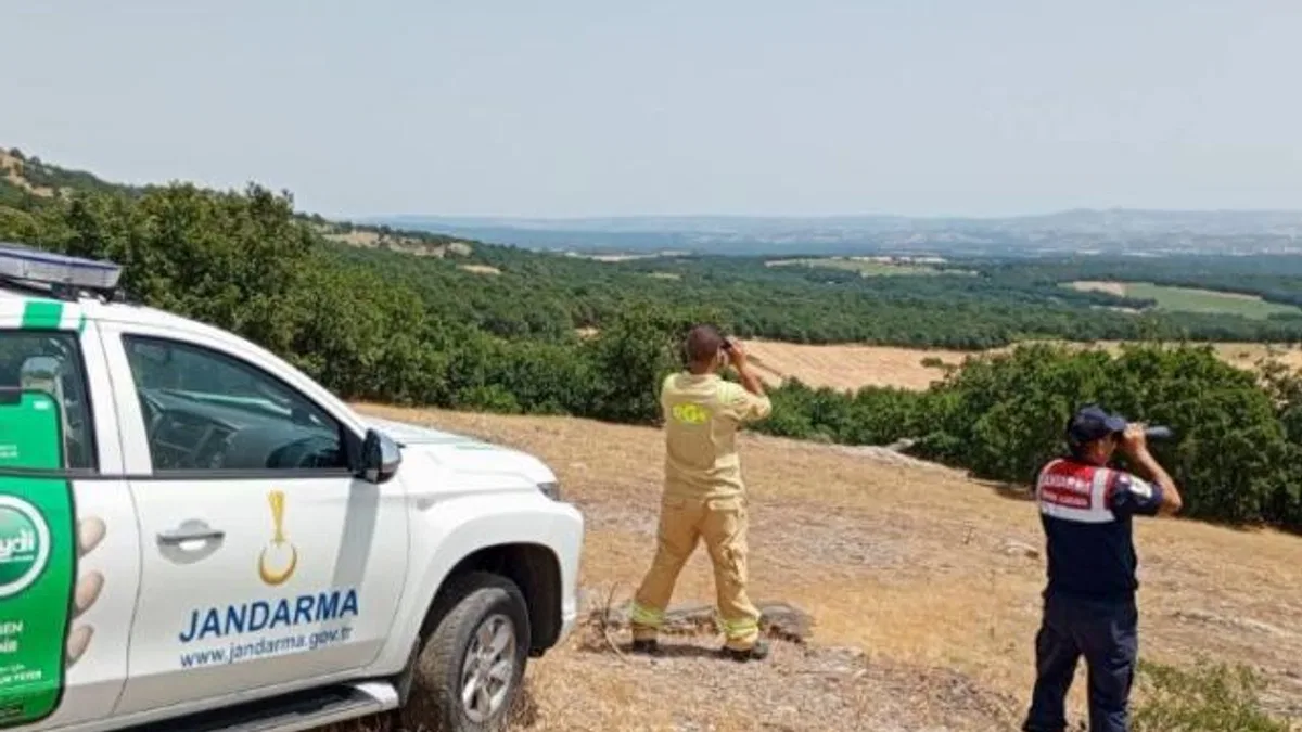 Jandarma orman yangınlarıyla mücadelede ediyor