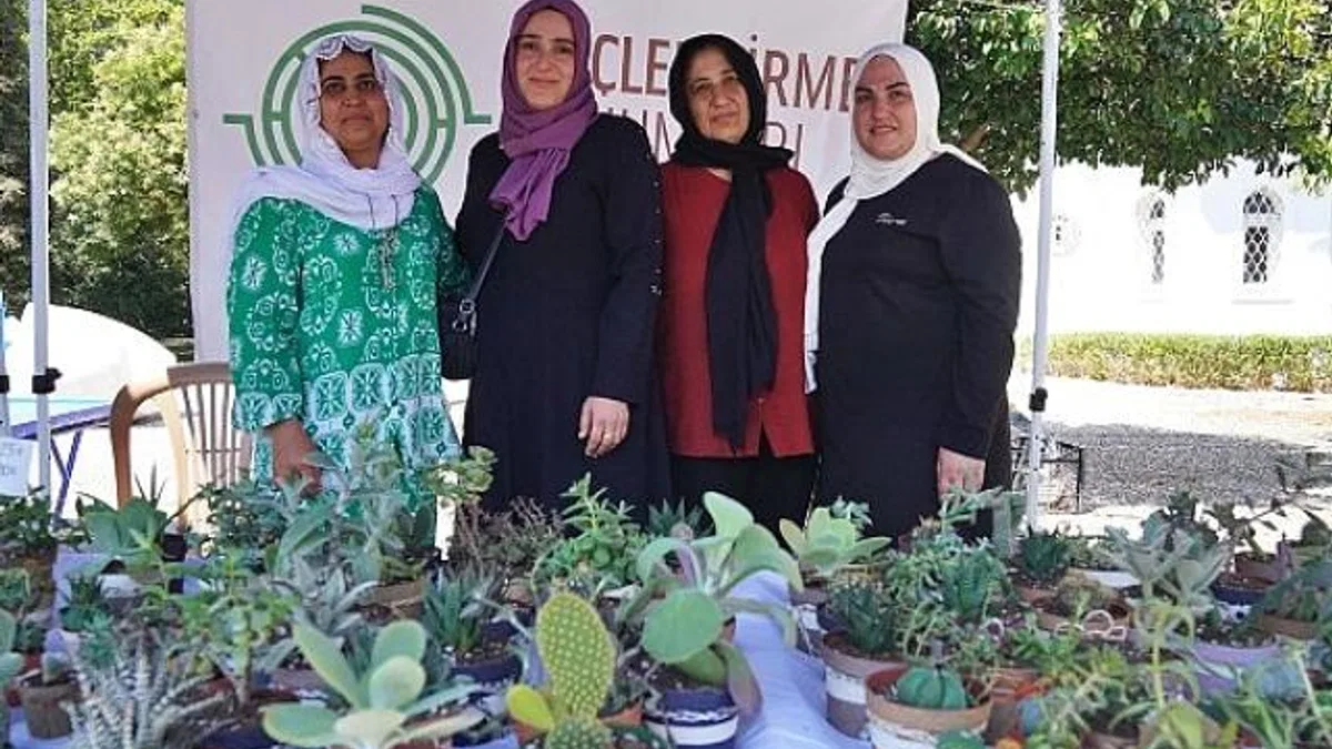 Hem tohumlar hem kadınlar güçleniyor