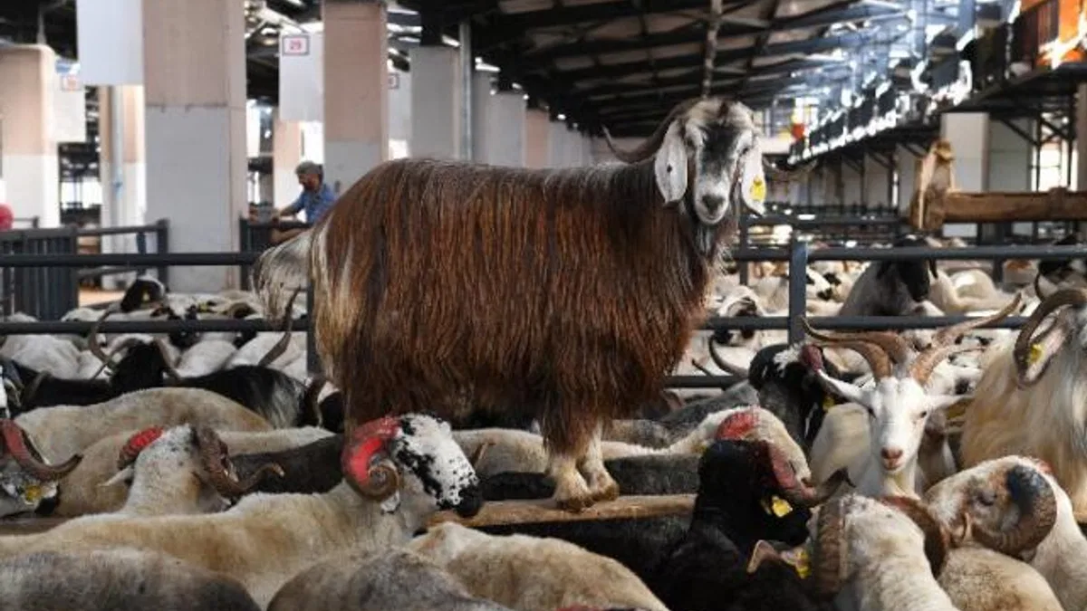 Bursa Osmangazi’de kurban kesim noktaları belli oldu