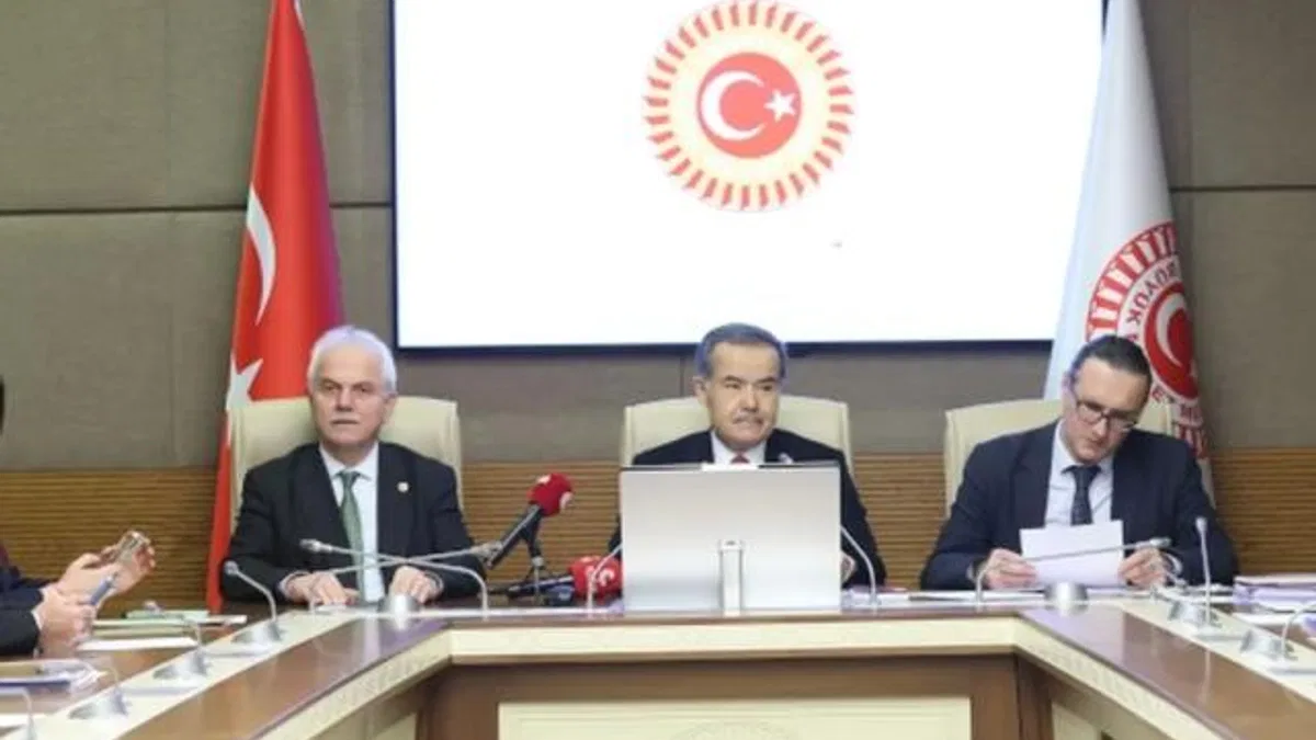 Çocukların şiddet ve istismardan korunmasını araştıran komisyondan son toplantı